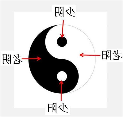 陰中有陽 陽中有陰